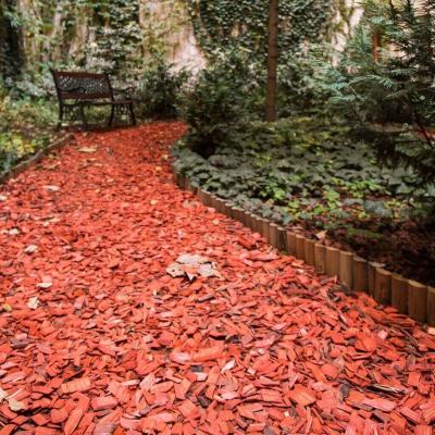 Our Apartment house 12